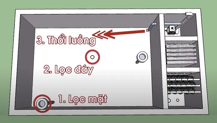 Sơ Đồ Hệ Thống Lọc Hồ Cá Koi Hoàn Chỉnh