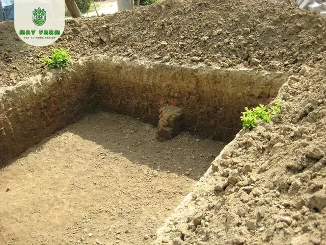 Chuẩn Bị Địa Điểm
