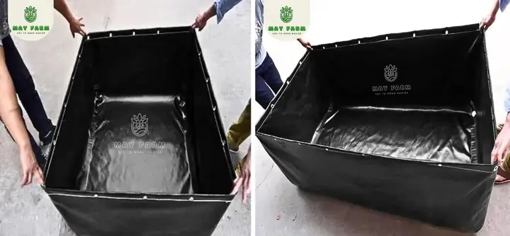 Tại Sao Phải Biết Cách Làm Hồ Nuôi Cá Bằng Bạt