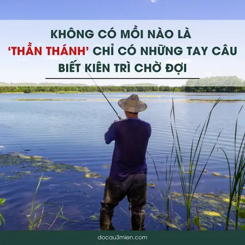Mồi Câu Cá Sộp Nào Hiệu Quả Nhất?