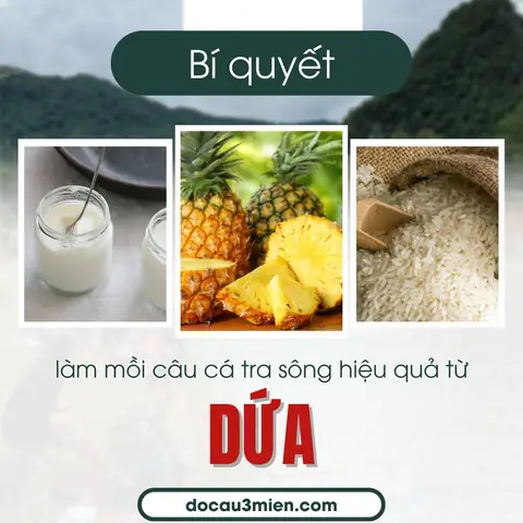 Bí Quyết Làm Mồi Câu Cá Tra Sông Hiệu Quả Từ Dứa