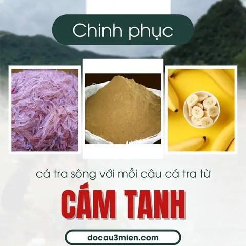 Công thức cách làm mồi câu cá tra chuẩn dân câu lâu năm