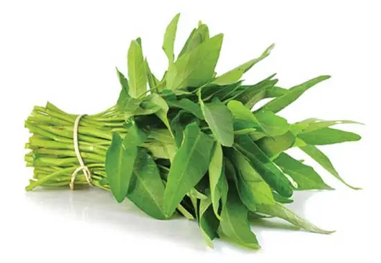 A. Mồi Câu Cá Trắm Cỏ Tự Nhiên