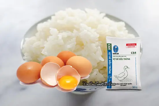 Mồi Câu Cá Trôi Ấn Độ Từ Cơm Nguội