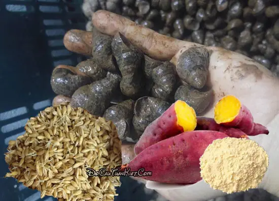 Mồi Câu Cá Trôi Củ Từ Ốc Vặn