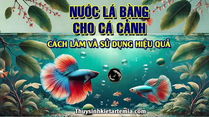 Hướng Dẫn Chi Tiết Cách Làm Nước Lá Bàng Cho Cá Cảnh