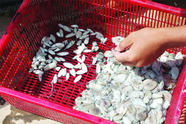 Nguyên Liệu Phổ Biến