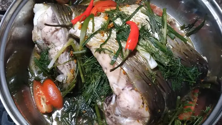Cách Nhận Biết Các Loại Cá