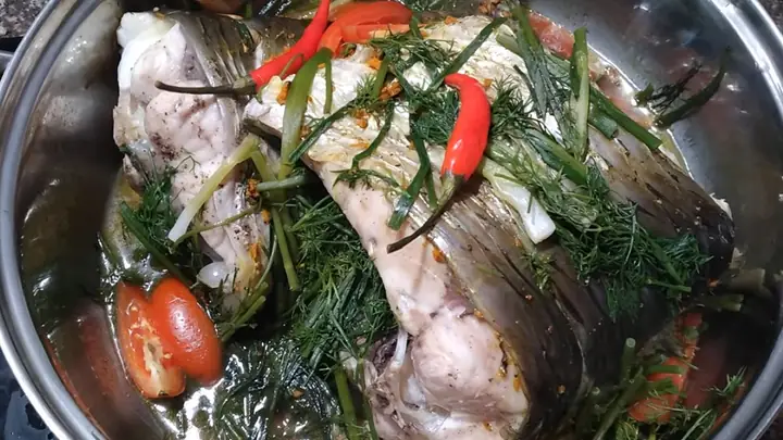 Cách Nhận Biết Các Loại Cá