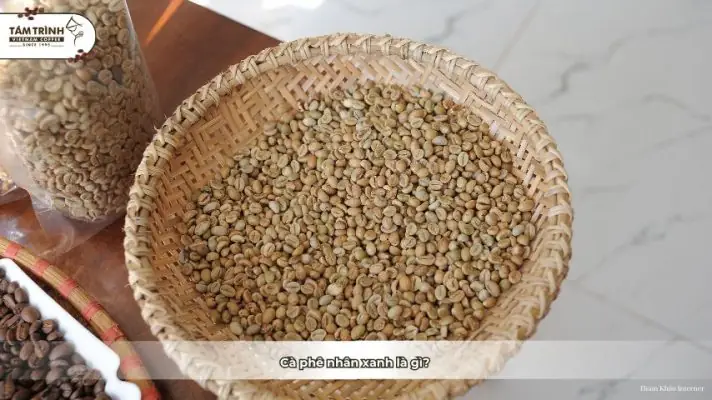 Cách Nhận Biết Luồng Cá Đi Ăn Hiệu Quả Cho Người Mới Bắt Đầu