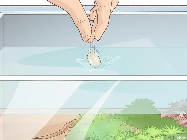 Câu Hỏi 5: Xử Lý Nước Máy Đúng Cách Cho Cá Betta?
