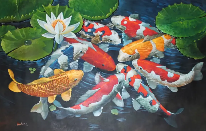 Nguồn Gốc Cá Koi