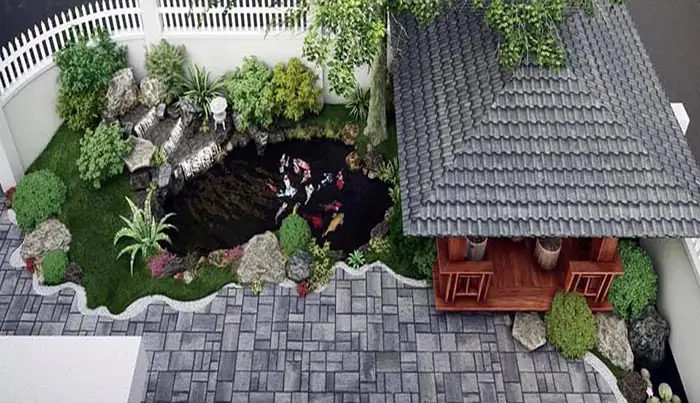 Điều Kiện Hồ Nuôi Cá Koi