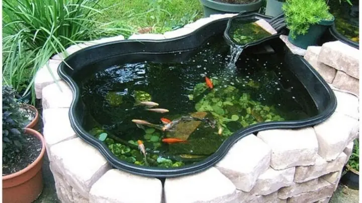 Điều Kiện Kinh Tế Thấp