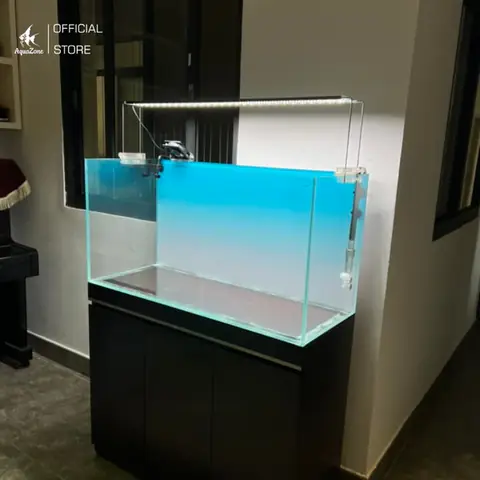Chọn Bể Cá Phù Hợp