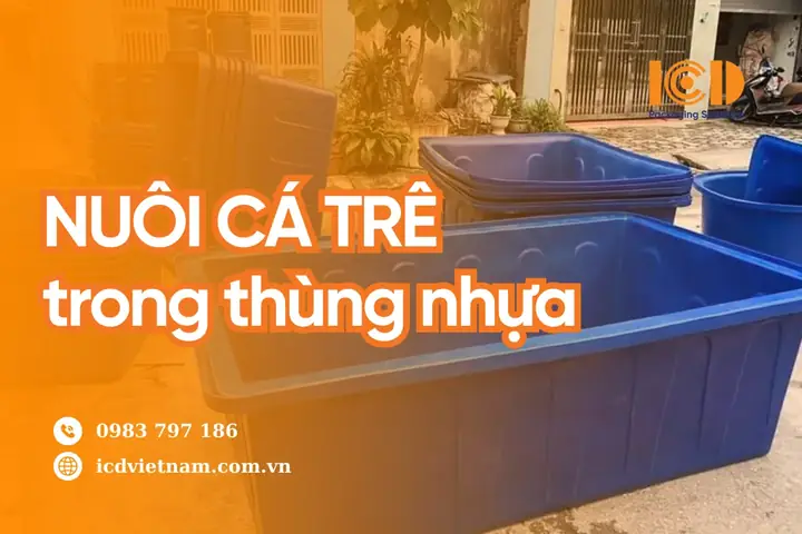 Cách Nuôi Cá Trê Trong Thùng Nhựa Cho Người Mới Bắt Đầu