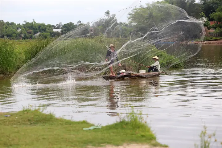 Quăng Chài Bắt Cá, Tôm Trên Sông Bàn Thạch