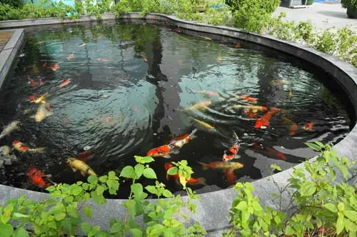 Bước 5: Thi Công Lớp Sơn Phủ Hoàn Thiện