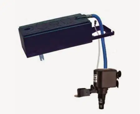 Cách Sử Dụng Máy Lọc Nước Trong Bể Cá