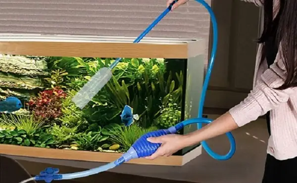 Hướng Dẫn Chi Tiết Cách Thay Nước Cho Cá Con An Toàn Và Hiệu Quả
