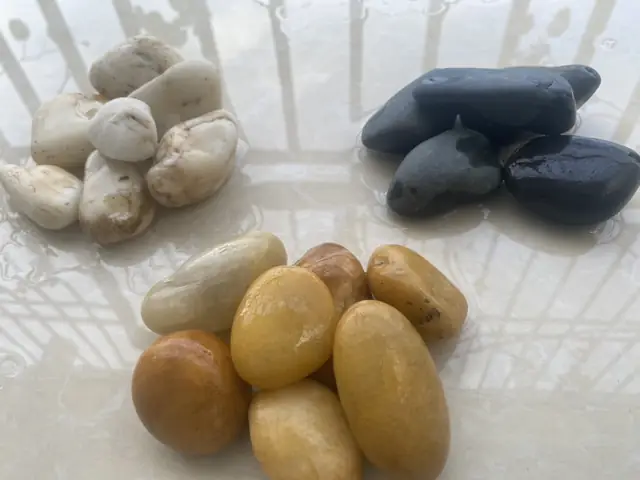 Sỏi Trang Trí Bể Cá Là Gì? Các Loại Sỏi Trang Trí Bể Cá Phổ Biến Hiện Nay