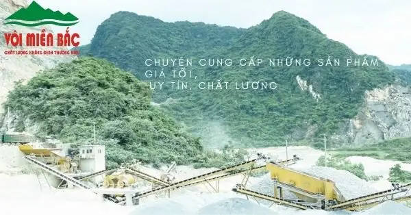 Trồng Thêm Cây Thủy Sinh