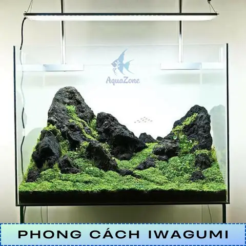 Phong Cách Iwagumi Phong Cách Iwagumi