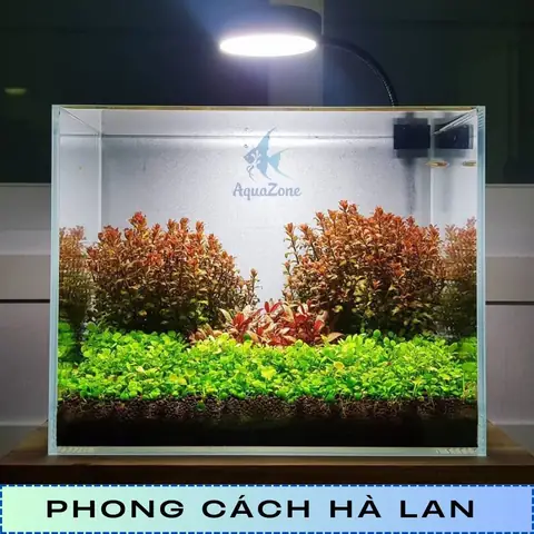 Phong Cách Hà Lan