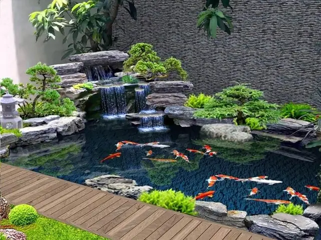 Trồng Rong Đuôi Chó Trong Bể Cá, Hồ Cá