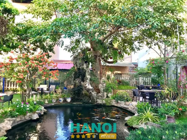 Top 5 Quán Cafe Cá Cảnh Hà Nội View Đẹp, Không Gian Xanh Mát Được Yêu Thích Nhất