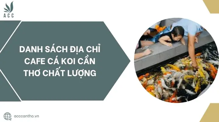 Danh Sách Địa Chỉ Cafe Cá Koi Cần Thơ Chất Lượng.jpg