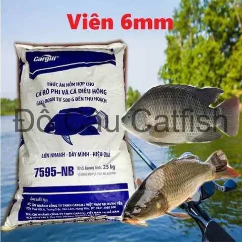 Thành Phần Dinh Dưỡng Cốt Lõi Trong Cám Cá Chép Cargill