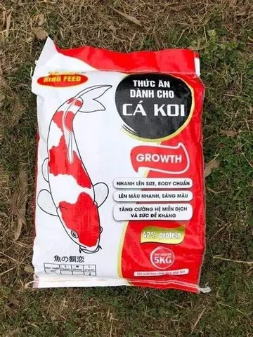 Cám Cá Koi Giá Rẻ: Hướng Dẫn Chi Tiết Từ A-z Để Chọn Mua Và Sử Dụng Hiệu Quả
