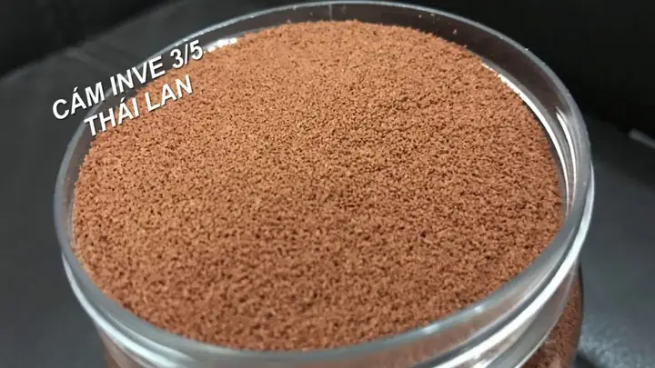 Cám Nhật B1