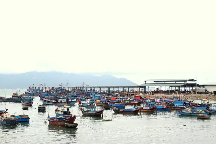 Địa Điểm Mua Hải Sản Giá Rẻ Tại Nha Trang - Chợ Cảng Vĩnh Lương
