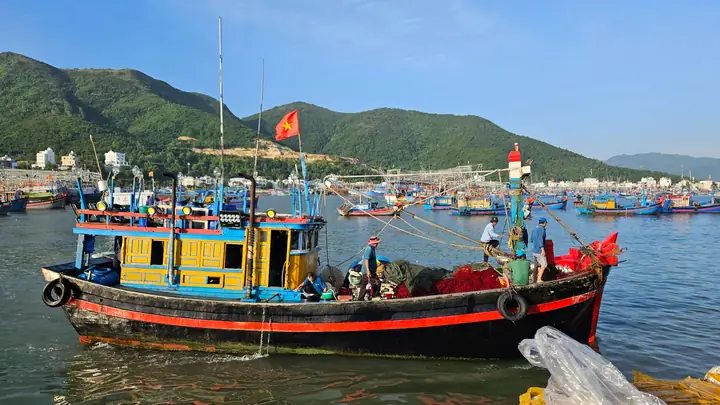 Cảng Cá Dân Sinh Vĩnh Trường Trúng Mùa Cá Cơm