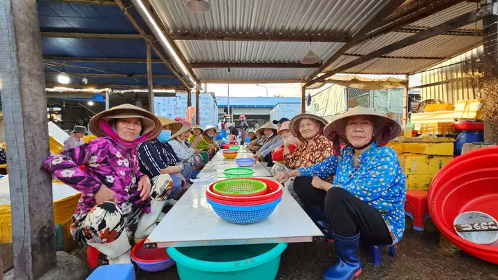 Cảng Cá Dân Sinh Vĩnh Trường Trúng Mùa Cá Cơm