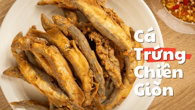 Capelin Là Cá Gì? Tất Tần Tật Về Loài Cá Nhỏ Bé Nhưng Có Vai Trò Khổng Lồ