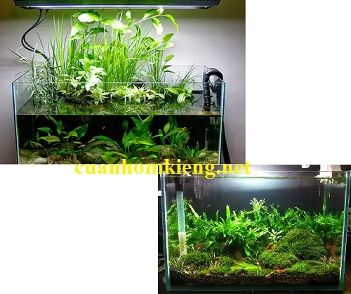 Nhận Cắt, Thiết Kế, Thi Công Tủ Nhôm Kính Các Loại Mẫu Mã Đẹp Nhỏ Tiện Dụng