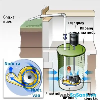 Cấu Tạo Máy Bơm Bể Cá: Hiểu Rõ Để Chọn, Dùng Và Bảo Dưỡng Đúng Cách