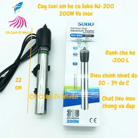 Cây Sưởi Hồ Cá: Hướng Dẫn Chi Tiết Cách Chọn Và Sử Dụng Hiệu Quả