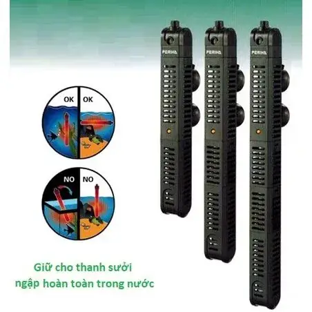 Cây Sưởi Hồ Cá: Hướng Dẫn Chi Tiết Cách Chọn Và Sử Dụng Hiệu Quả