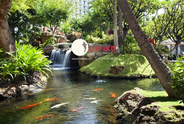 Cây Cảnh Lớn Quanh Hồ