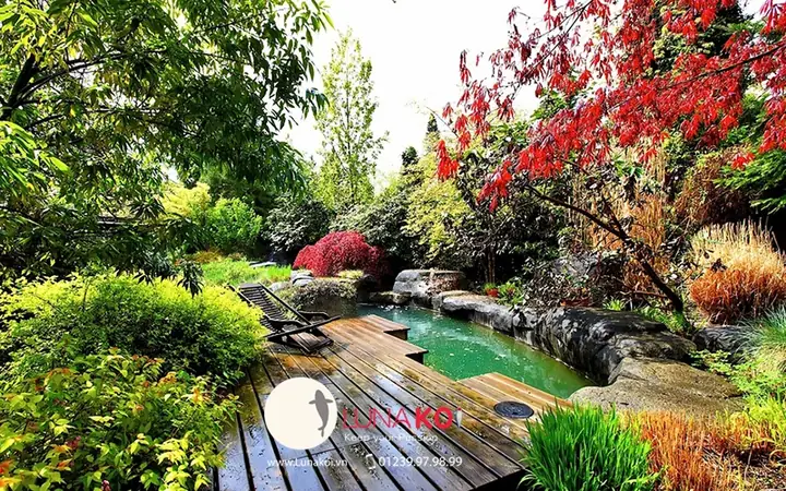 Những Cây Trồng Quanh Viền Hồ Giúp Hồ Nước Trở Nên Xinh Đẹp