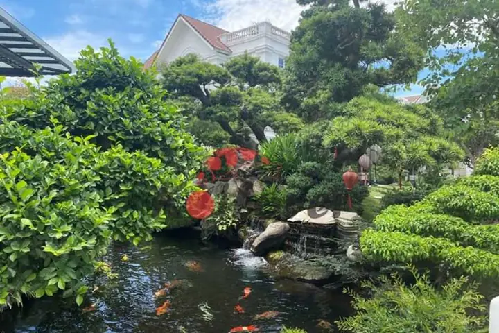 Tổng Hợp Một Số Mẫu Hồ Cá Ngoài Trời Đẹp
