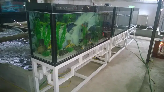 Chân Bể Cá Bằng Sắt