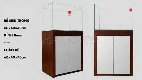 Tầm Quan Trọng Của Chân Hồ Cá Đạt Chuẩn