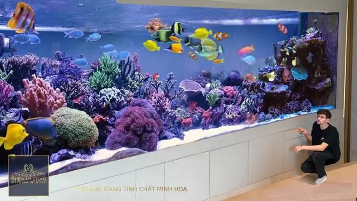 Lợi Ích Củatiểu Cảnh Hồ Cá Dưới Chân Cầu Thang