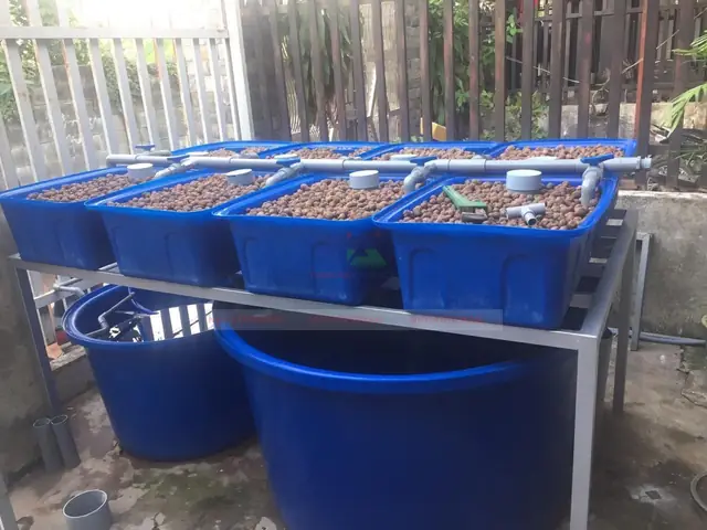 Chậu Nhựa Nuôi Cá