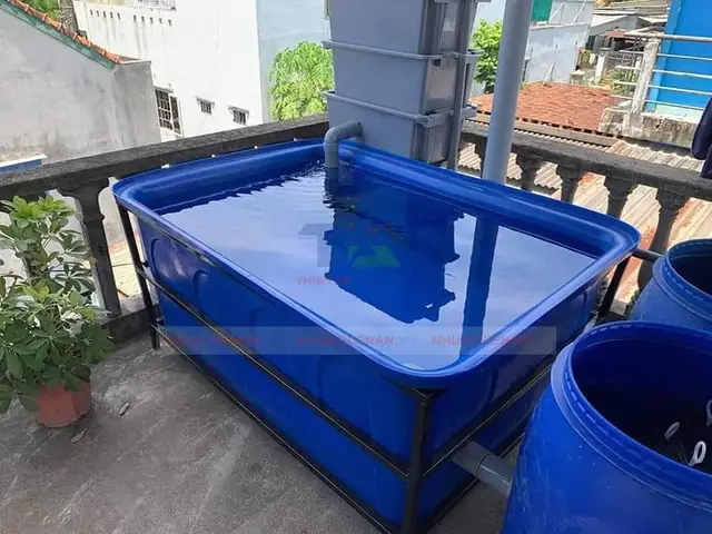 Chậu Nhựa Nuôi Cá